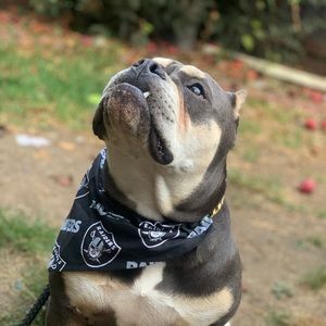 Meet your Posher, Angel